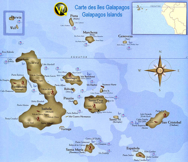 galapagosmondedesanimaux galapagosmondedesanimaux